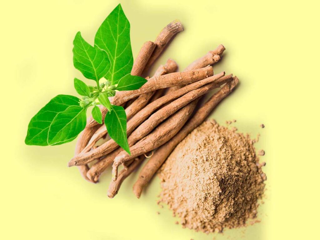 Know Ashwagandha and all the benefits it brings to your health